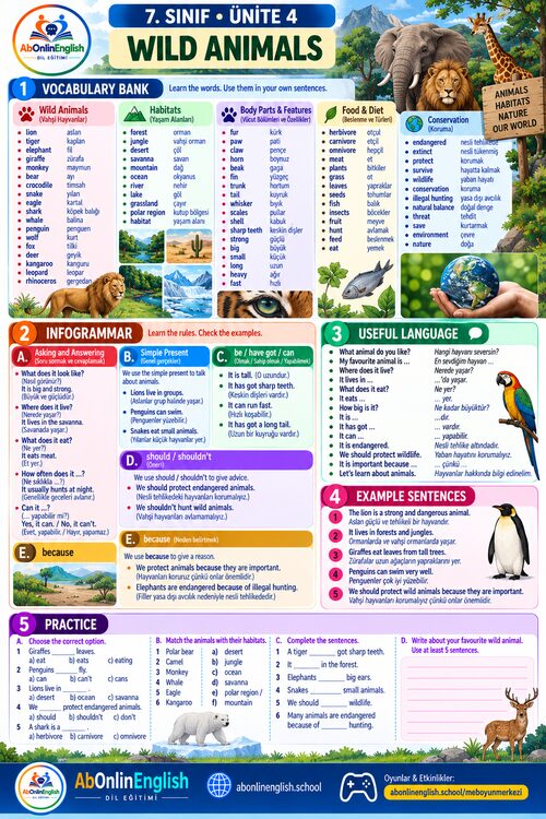7. sınıf İngilizce 4. ünite Wild Animals (Vahşi Hayvanlar) konu anlatımı, kelime listesi ve gramer özeti